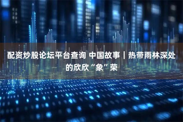 配资炒股论坛平台查询 中国故事｜热带雨林深处的欣欣“象”荣