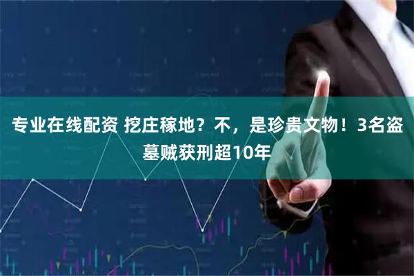 专业在线配资 挖庄稼地？不，是珍贵文物！3名盗墓贼获刑超10年